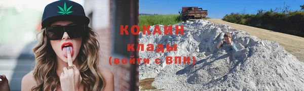 сатива Арсеньев
