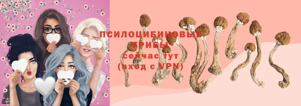 бошки Армянск