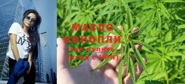мет Дмитров