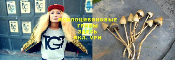 дурь Аркадак