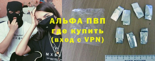 сатива Арсеньев