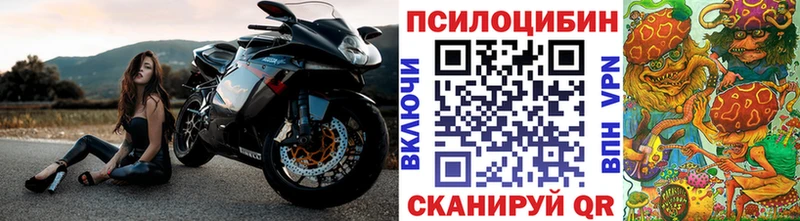 магазин  наркотиков  Сураж  Галлюциногенные грибы ЛСД 