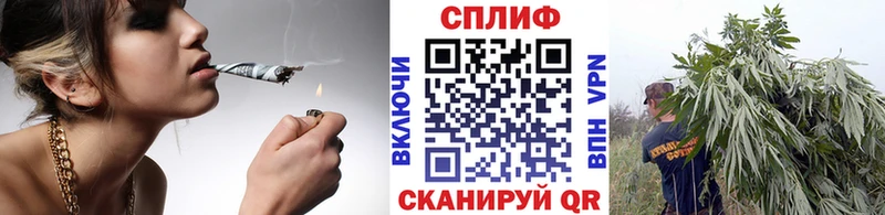 Шишки марихуана MAZAR Сураж